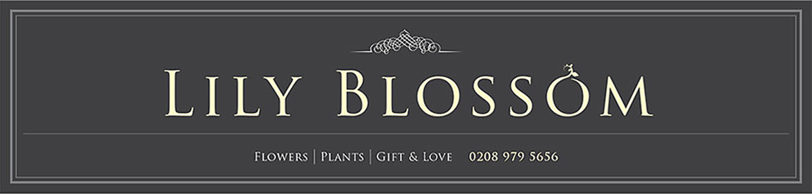 Lily Blossom Florist