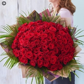 Valentines 100 Red Rose Handtied